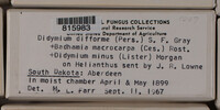 Image Associated With the Occurence